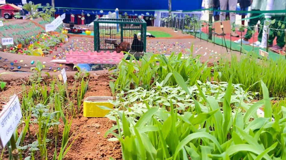 Agricultural Model Agricultural Model