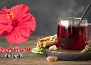 Hibiscus Tea