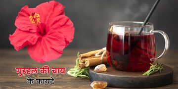 Hibiscus Tea