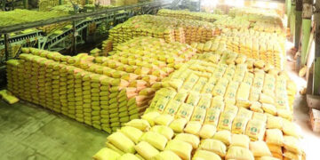 Kisan News 1 Kisan News