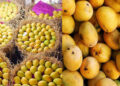 Mango Exports