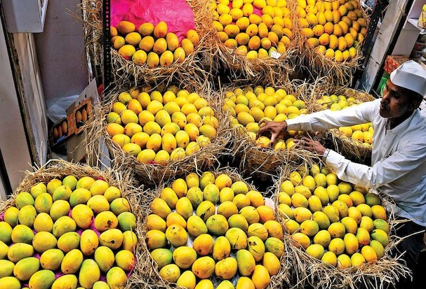 Mango Trade 1 Mango Trade