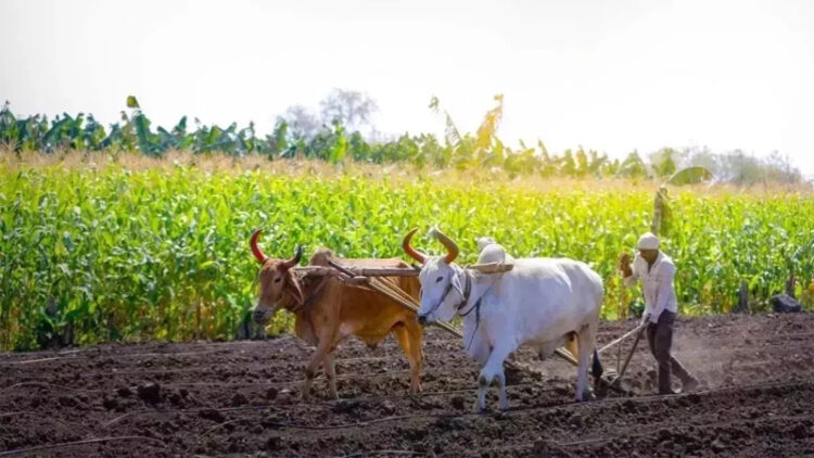 Model Farming