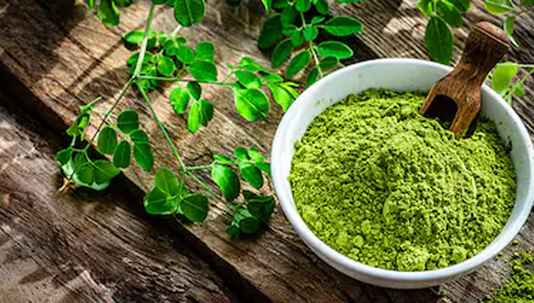 Moringa Benefits