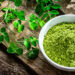 Moringa Benefits