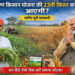 PM Kisan