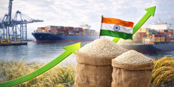 Rice Export Rules