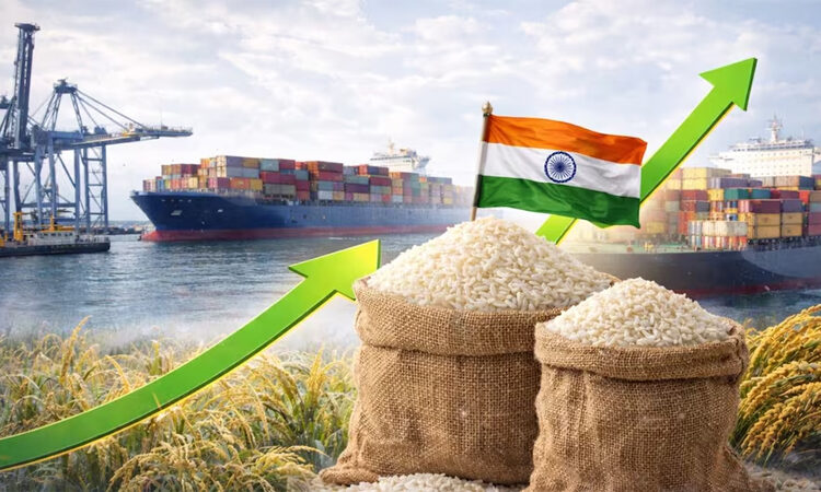 Rice Export Rules 1 Rice Export Rules