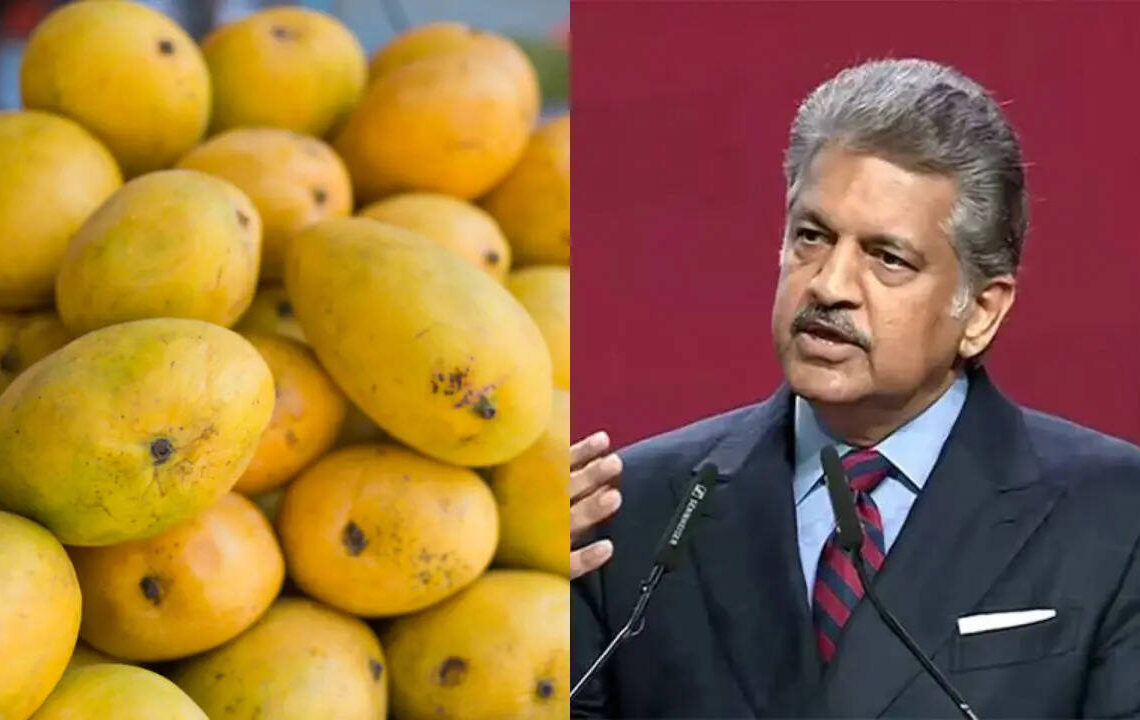 Sadabahar Mango