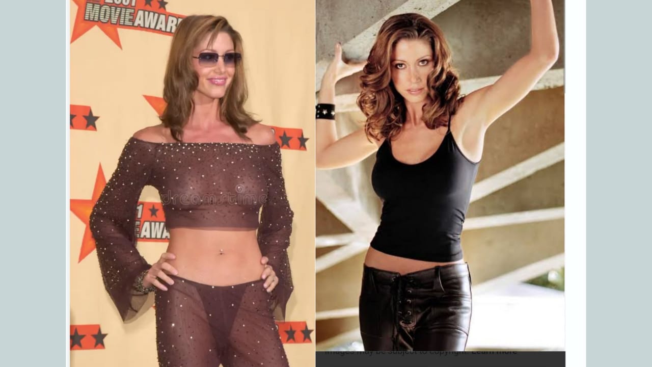 Shannon Elizabeth 3
