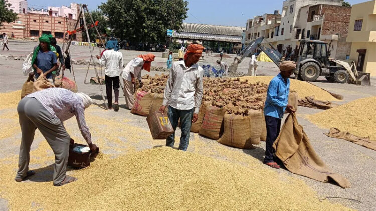 Wheat Procurement