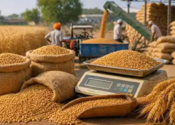 Wheat Procurement