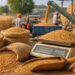 Wheat Procurement