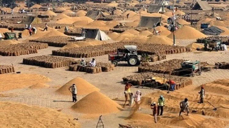 Wheat Procurement