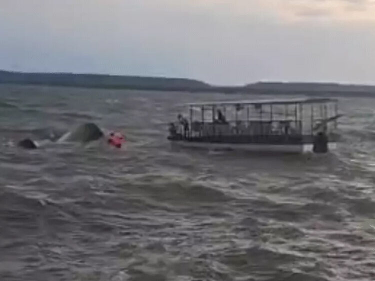 cruise accident