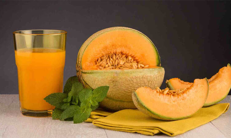 muskmelon Effects