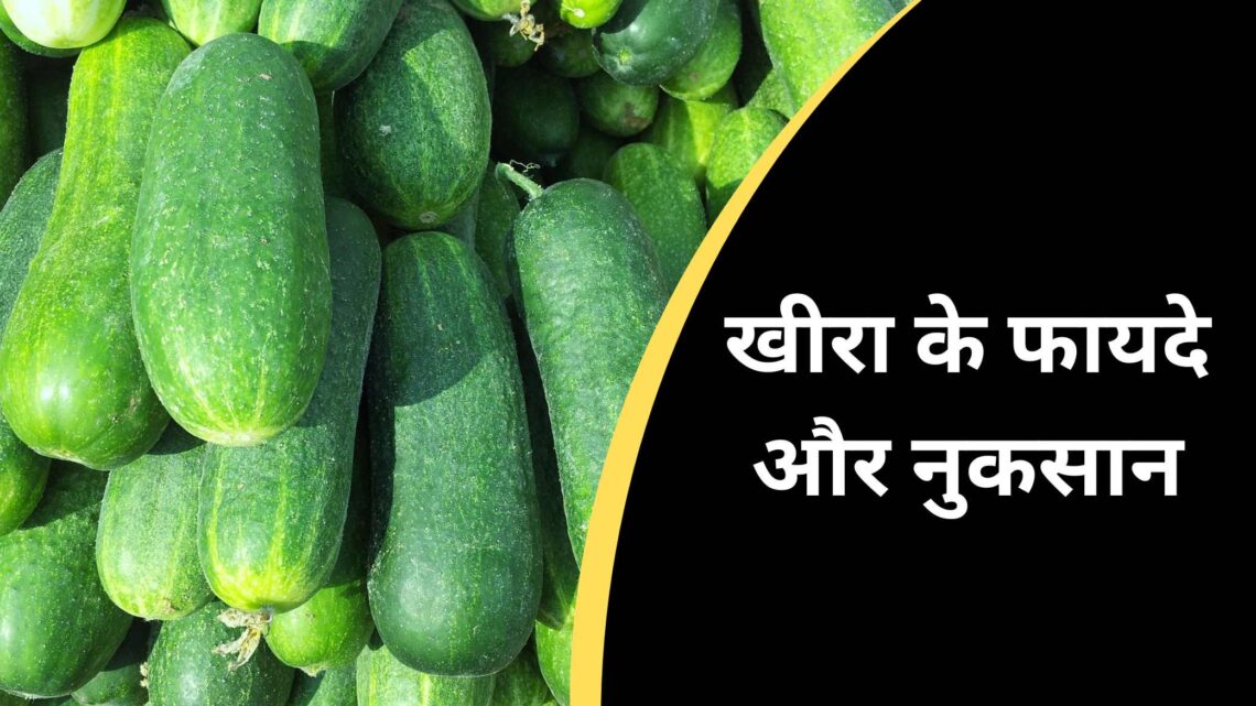 खीरा