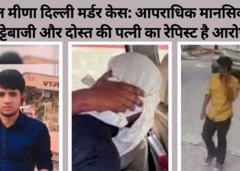 राहुल मीणा दिल्ली मर्डर केस