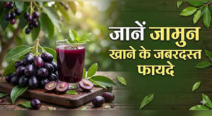 Black Plum Benefits
