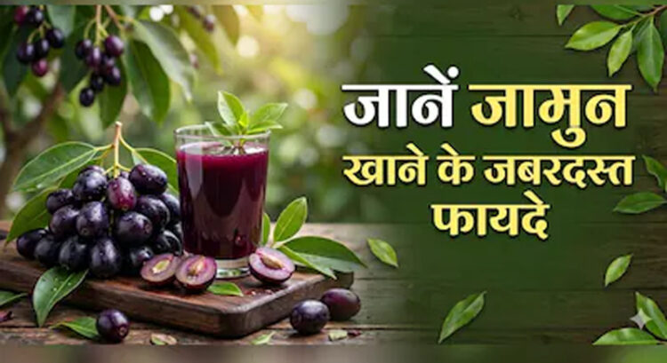 Black Plum Benefits