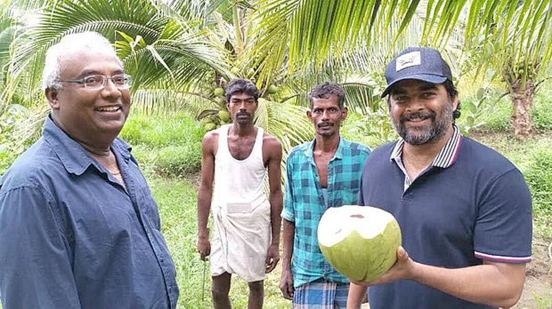 Coconut Farming
