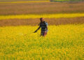 Crop Protection