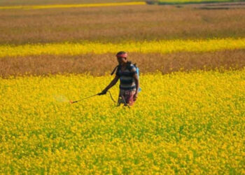 Crop Protection