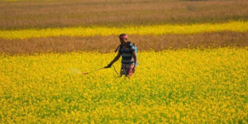 Crop Protection