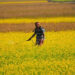 Crop Protection