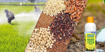 Fake Fertilizers-Seeds
