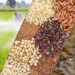 Fake Fertilizers Seeds 1 Fake Fertilizers-Seeds