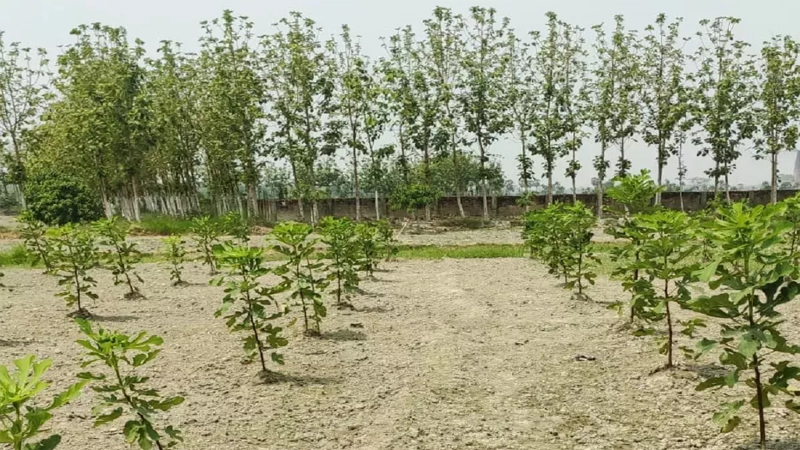 Farmers Growth Farmers' Growth