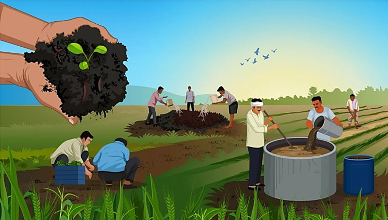 Fertilizer Supply
