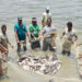 Fisheries Production 1 Fisheries Production