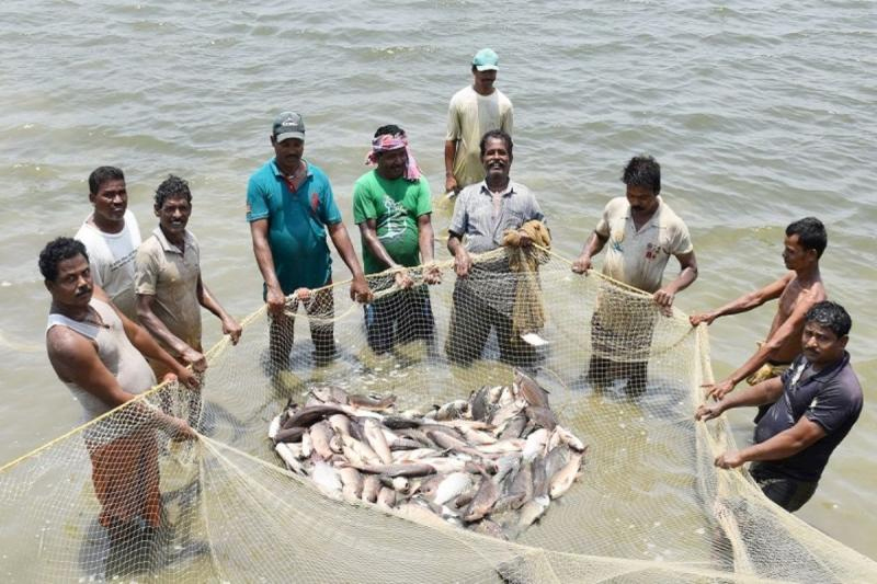 Fisheries Production 1 Fisheries Production