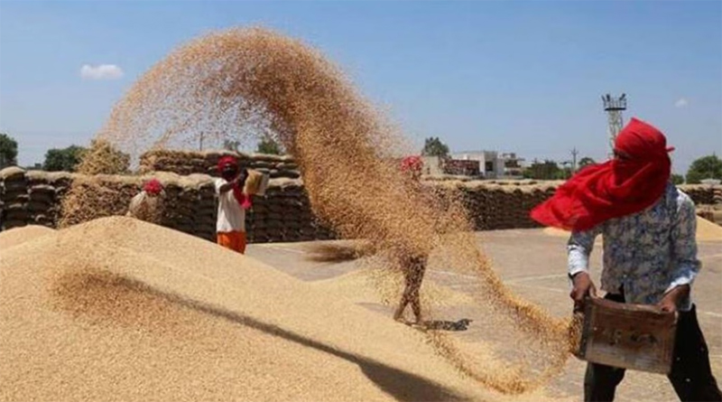Foodgrain production Foodgrain production