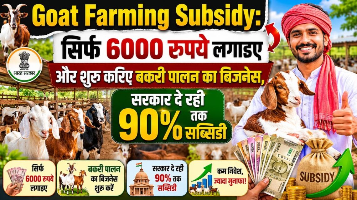 Goat Farming Subsidy सिर्फ 6000 रुपये लगाइए