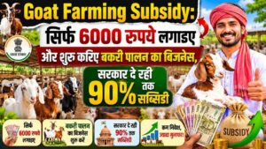 Goat Farming Subsidy सिर्फ 6000 रुपये लगाइए Goat Farming Subsidy सिर्फ 6000 रुपये लगाइए