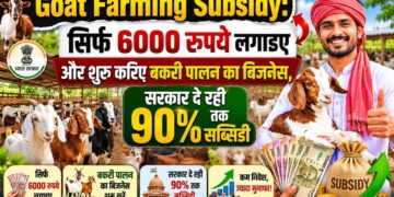 Goat Farming Subsidy सिर्फ 6000 रुपये लगाइए