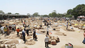 Herbal Market