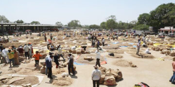 Herbal Market