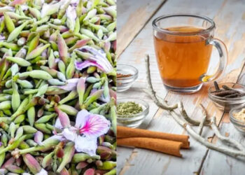 Kachnar Tea