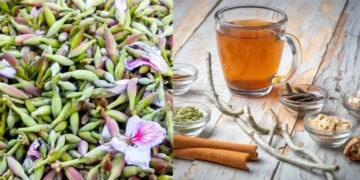 Kachnar Tea