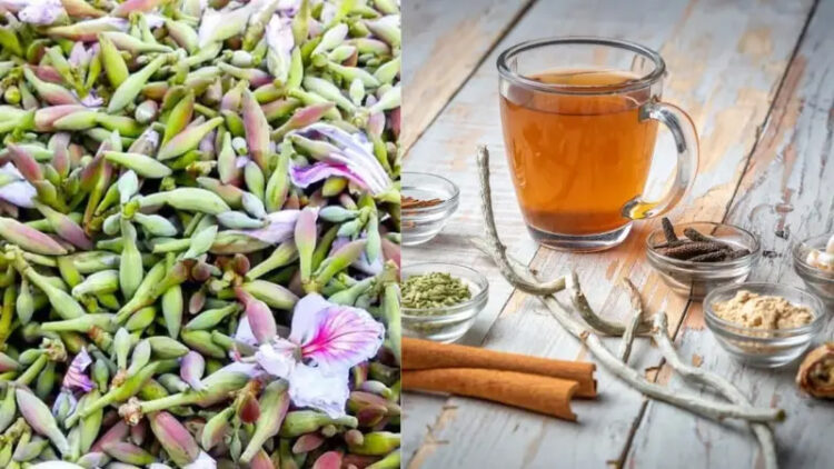 Kachnar Tea