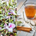 Kachnar Tea