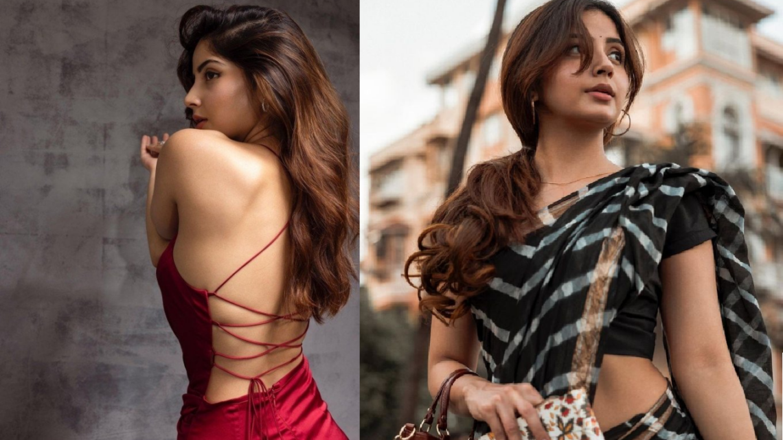 Kashmira Pardesi5 कश्मीरा परदेसी