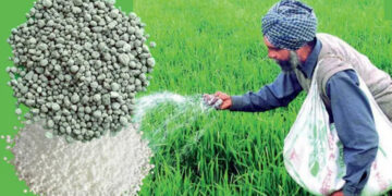 Kharif Season