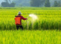Kisan News