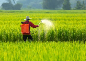 Kisan News