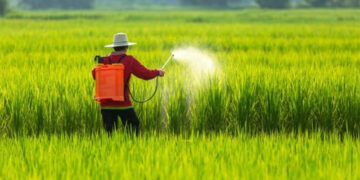 Kisan News